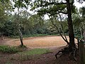 osmwiki:File:Horse exercise ring, Wimbledon Common - geograph.org.uk - 1454363.jpg