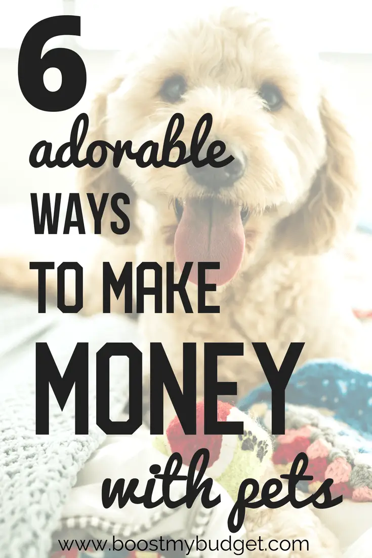 The text "6 adorable ways to make money with animals" overlaid over an image of a cute dog smiling with its tongue out.