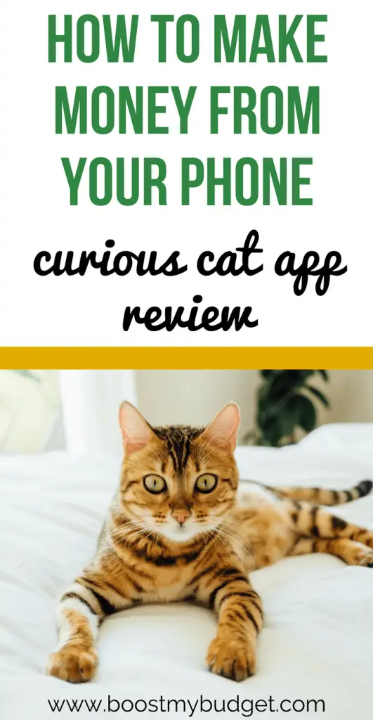 Want to make money from home? Curious Cat is a survey app that lets you make money from home or on the go! It has a low payment threshold, meaning you can get extra money today! I tested it out for a while. See how much extra money I made and if its worth your while.