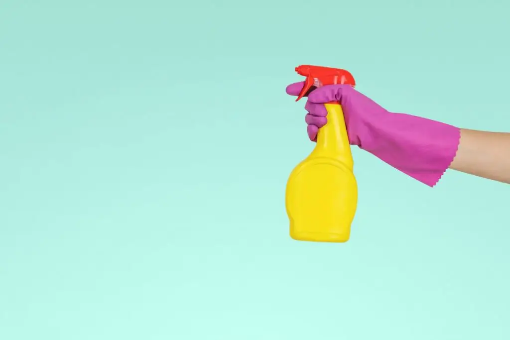 A hand in rubber glove holding a cleaning spray. You can make money from the Airbnb boom by offering specialised Airbnb cleaning services.